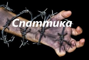 что такое спастика?