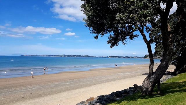 RED BEACH HIBISCUS COAST NEW ZEALAND STATIC SCENERY : 4K 60fps смотреть онлайн