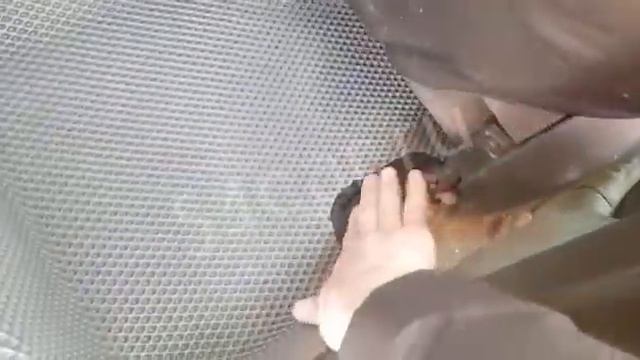 toyota succeed eva коврики с бортиками смотреть онлайн