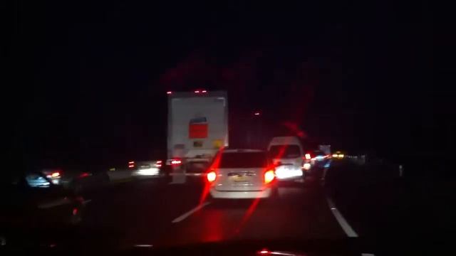 Мексика Пробки ночью в лесу смотреть онлайн