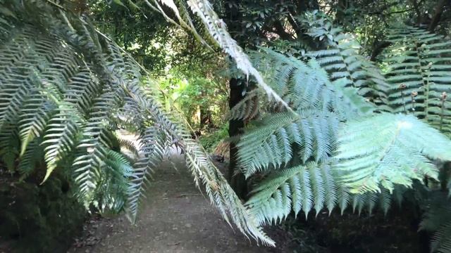 Meudon Hotel May 2018 смотреть онлайн