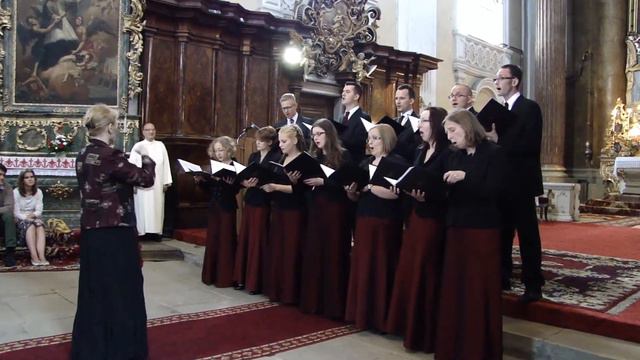 Camerata Varsovia w Cluj 04 смотреть онлайн