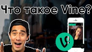 Что такое Vine? | Вайн | Вайны