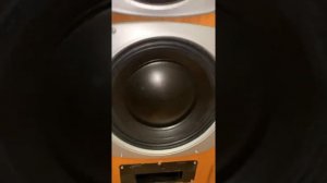 Видео-показ акустической системы Radiotehnika S-400 (для авито)