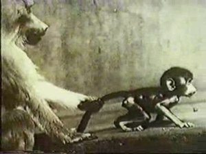 Физиология. Физиология мотиваций и эмоций