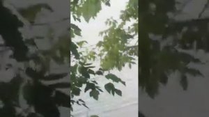 hangkai 6 лодка"вельбот" 280 без киля