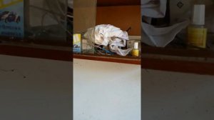 Сварка порошковой проволокой полуавтоматом Торрос миг 200 пульс