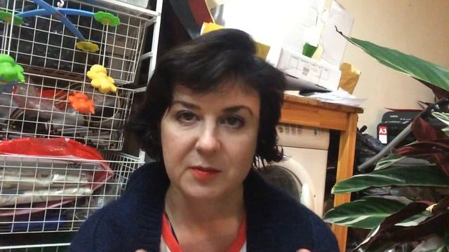 Где жить дешево в Осло и в Норвегии смотреть онлайн