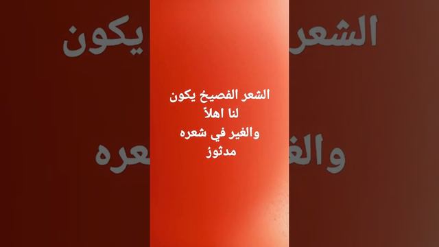 المتنبي وسيف الدولة