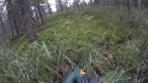 КАКИЕ ЖЕ ОНИ ЗДЕСЬ ДИКИЕ. РЫБАЛКА НА ТРУДНОДОСТУПНОМ ТАЁЖНОМ ОЗЕРЕ.