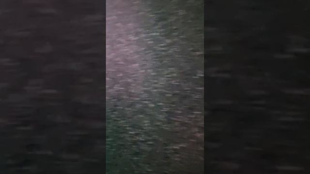 21 ноября 2023 г. смотреть онлайн