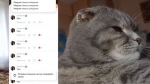 КАК ПОЛУЧИТЬ 9000 БОБОВ ЗА 3 ДНЯ В LIKEE? 2023 //как получить много бобов в Likee? 🤯
