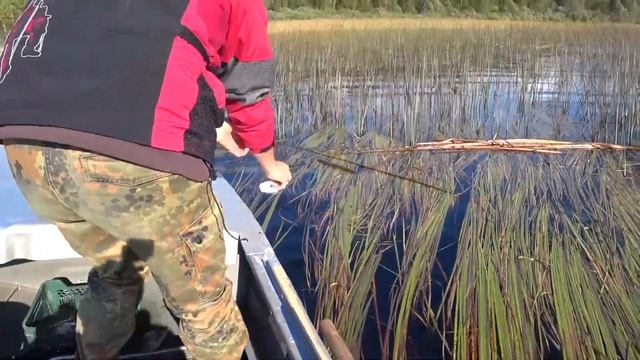 Рыбалка охота, красивейшие дикие места России, Российская Амазонка смотреть онлайн