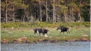 Национальный парк «Онежское Поморье»