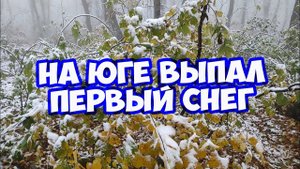 НА ЮГЕ выпал ПЕРВЫЙ СНЕГ. Зима в Ставрополе началась неожиданно. Первый снег в Ставрополе