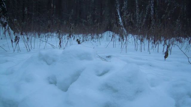 Обзор петард {} Поцелуй смерти