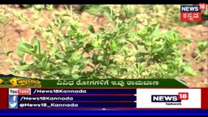 ಅನ್ನದಾತ | Are You Farmer? Want To Grow Medicine Plants In Your Farm?