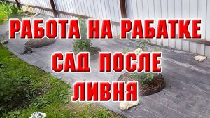 Работа над созданием новой клумбы продолжается, сад после ливня