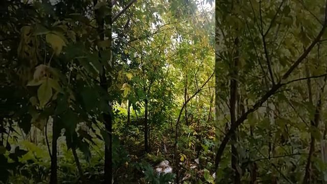 АНЕКДОТ. БАБУШКА. смотреть онлайн