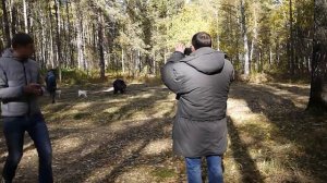 Щенки ЗСЛ 5 месяцев 6 месяцев Притравка на Медведя от Варнак 4575/14 вл.Матюхов