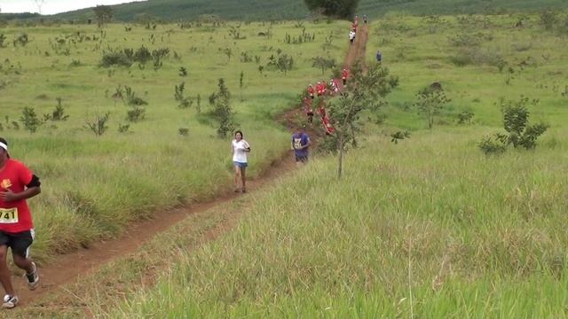 Cross Run 2014 смотреть онлайн