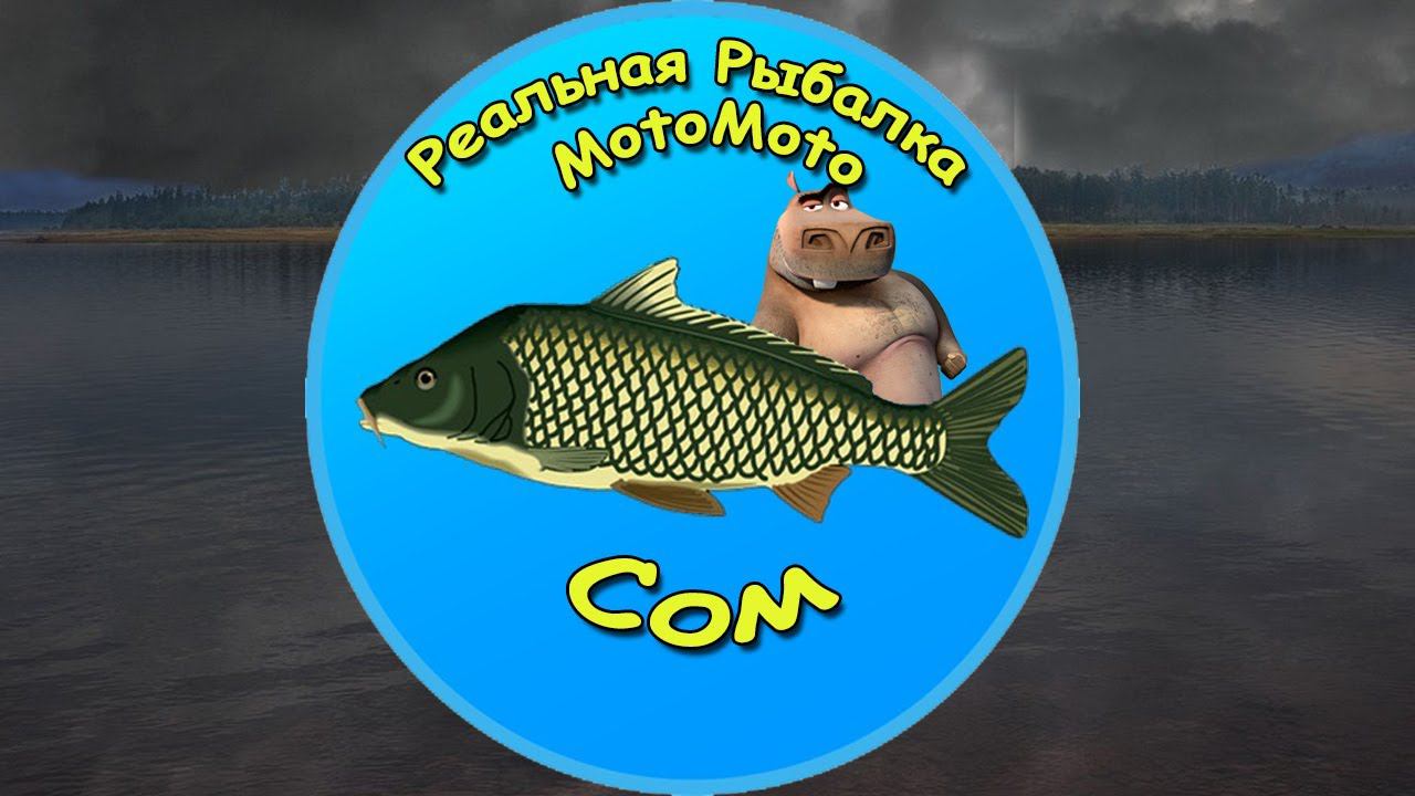 Как поймать Сома на Братском водохранилище [NEW] | Реальная Рыбалка