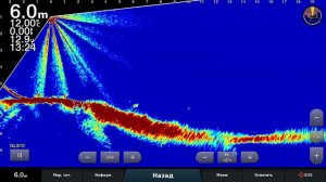 Бросаю...что-то получается   Garmin LiveScope