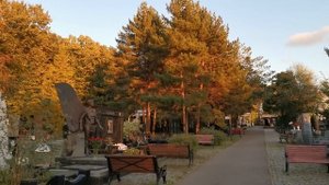 Троекуровское кладбище: звезды, олигархи и мошенники