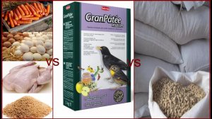 Состав мешанок, подробный разбор компонентов, сравнение с фабричным кормом.