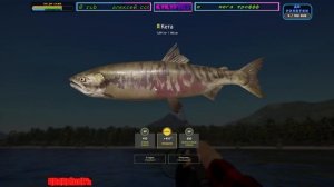 РУССКАЯ РЫБАЛКА 4   //  Russian Fishing 4 // УТРЕННИЙ STREAM  // СИЖУ В ЯМЕ, ЛОВЛЮ ТРОФА //