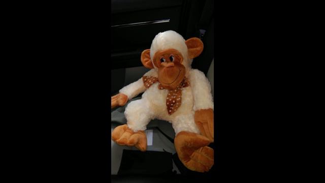 Вой на луну смотреть онлайн