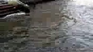 Смотреть Ловля Толстолоба Со Дна На Технопланктон - Ловля Рыбы На Технопланктон