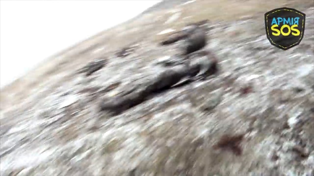 Это я чтобы модераторов позлить потому что мне просто делать нечего Люблю на трупы смотреть смотреть онлайн