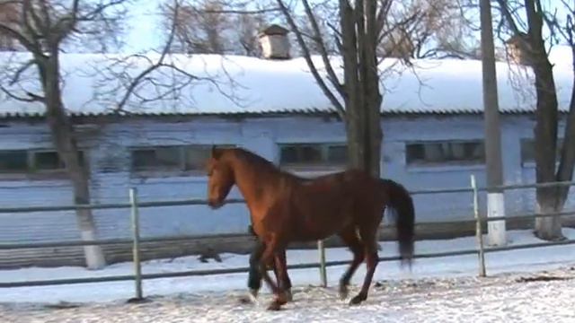 Меридиан смотреть онлайн