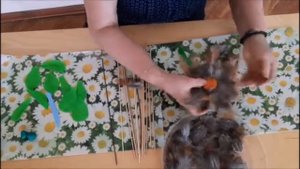 Цветок из перьев