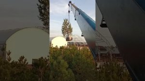 Для чего нужен манипулятор с длинной стрелой