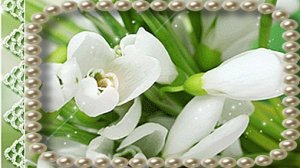 ?ЛАНДЫШЕЙ БУКЕТ-? В ТВОЙ ДЕНЬ РОЖДЕНИЯ!?