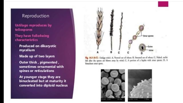 Dr. Mamta Choudhary, B.SC.Part-I,Paper-I,Unit-IV смотреть онлайн