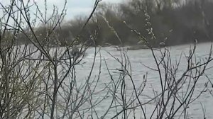 Tohatsu 18 + лодка Навигатор 350