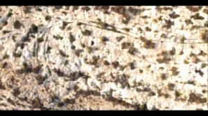 Кто-то создал их по всему миру .Каменные колеи доисторических времен