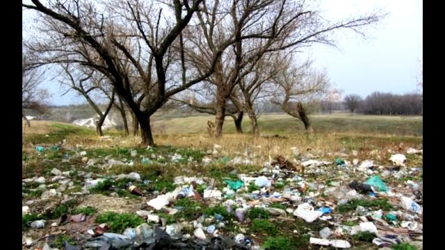 Сохраним природу родного края смотреть онлайн