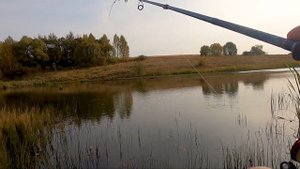 Ловля окуня на Джиг Риг. Bait Breath Mosya