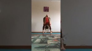 Сита Йога 12 02 2020