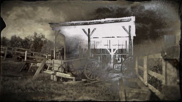 ЭКЗОТИКА-ГДЕ НАЙТИ ПЕРО КРАСНОЙ/МАЛОЙ БЕЛОЙ/СНЕЖНОЙ ЦАПЛИ/РОЗОВОЙ КОЛПИЦЫ РДР2 #БАГ НА ПЕРЬЯ ЦАПЕЛЬ