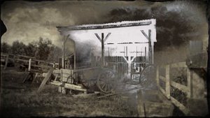 ЭКЗОТИКА-ГДЕ НАЙТИ ПЕРО КРАСНОЙ/МАЛОЙ БЕЛОЙ/СНЕЖНОЙ ЦАПЛИ/РОЗОВОЙ КОЛПИЦЫ РДР2 #БАГ НА ПЕРЬЯ ЦАПЕЛЬ