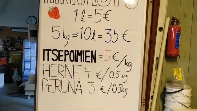 Сезонная работа в Финляндии. Сборка ягоды смотреть онлайн