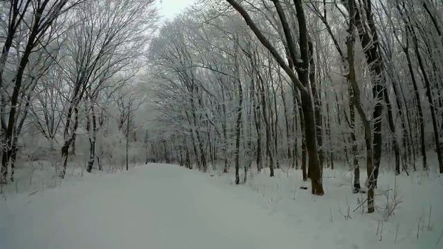 Продлил удостоверение,немного о работе... смотреть онлайн