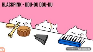 Коты играют на инструментах