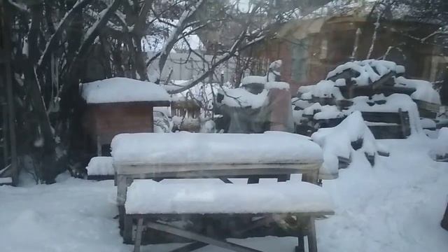 Казачья песня