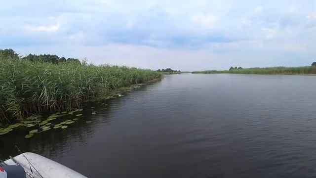 На Кружки. Попытка поймать щуку. смотреть онлайн